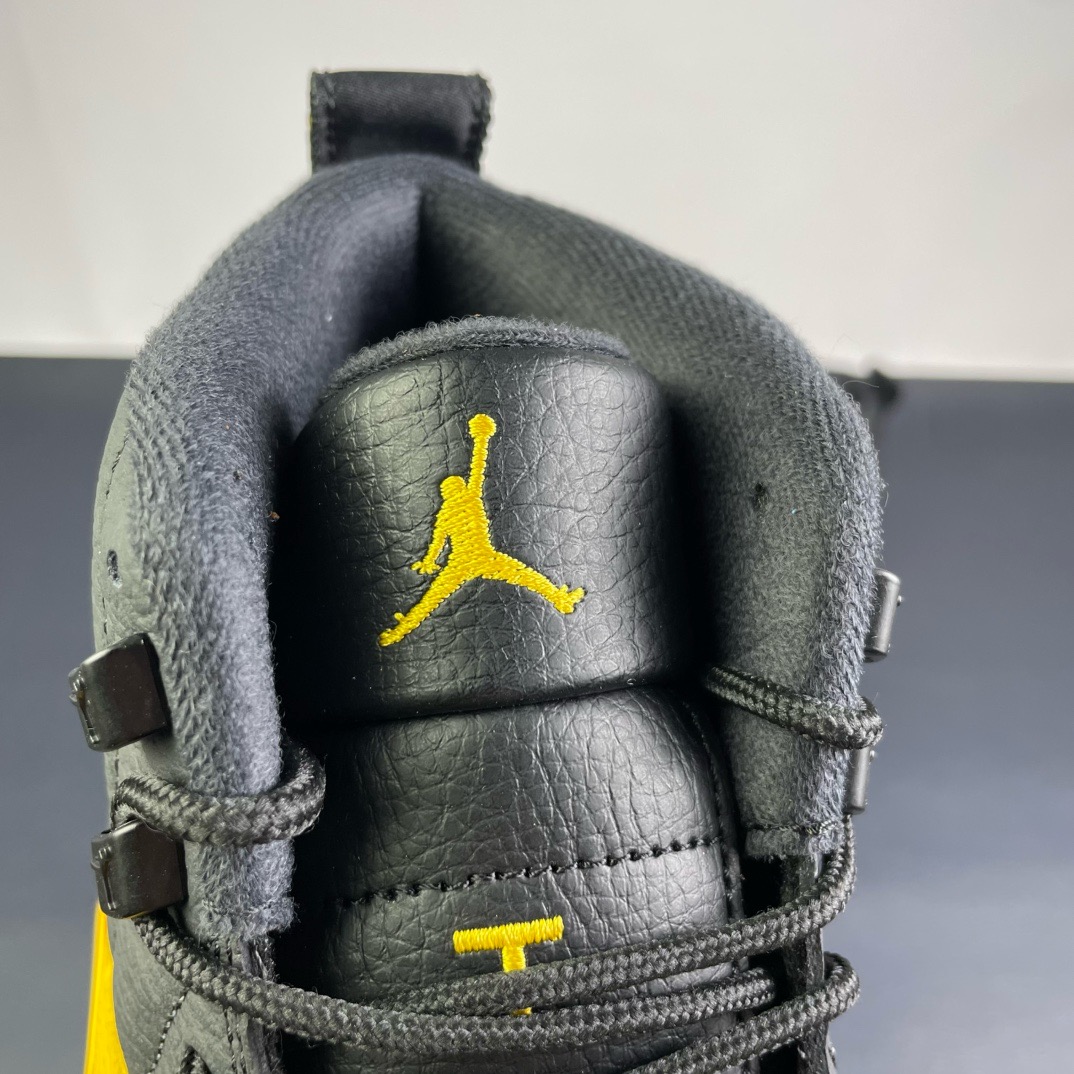 Air Jordan 12