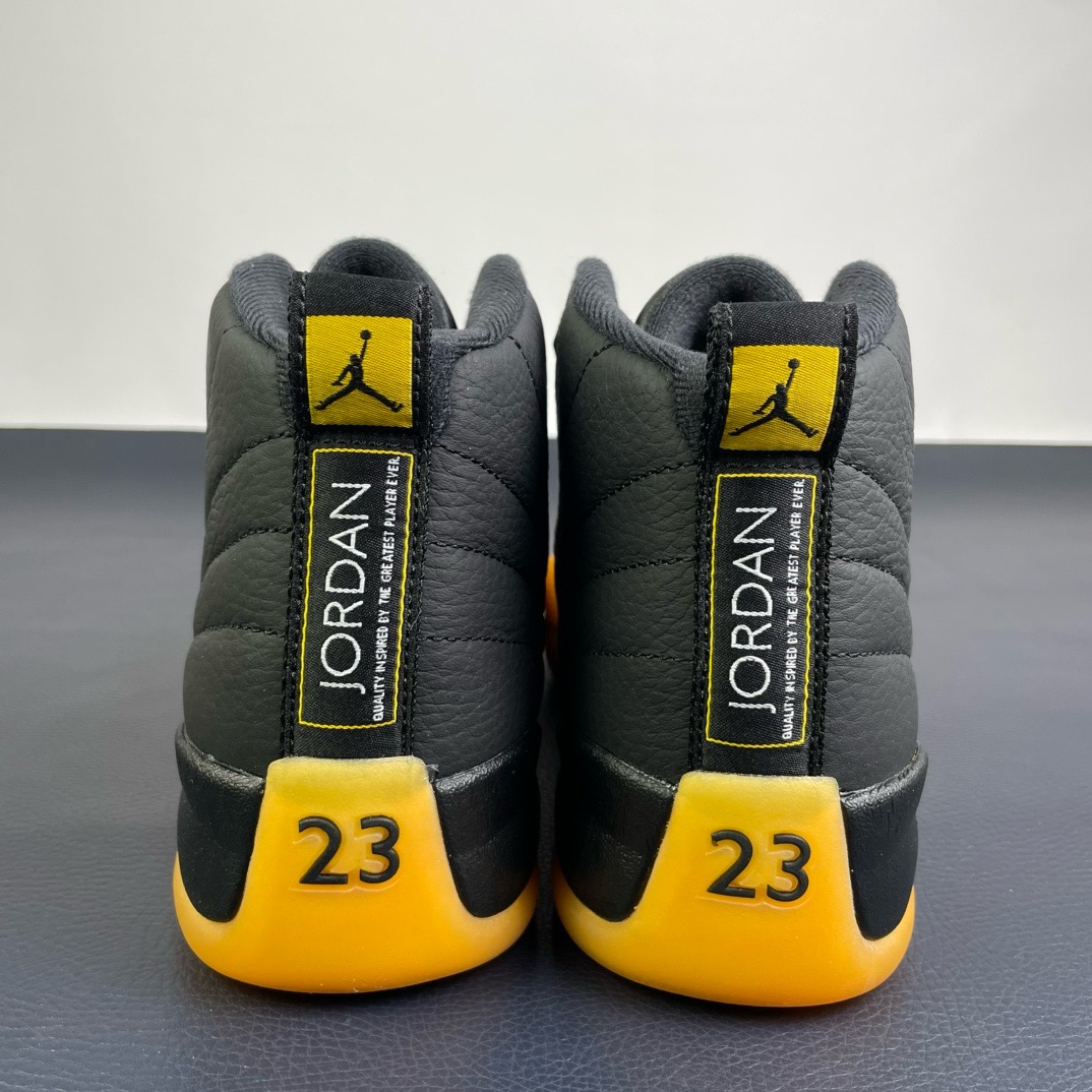 Air Jordan 12
