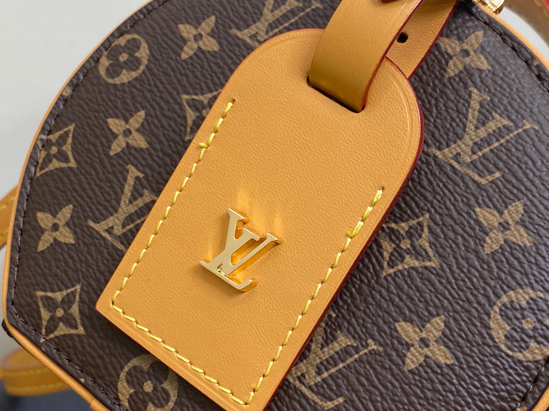 L*ouis V*uitton Top Bag
